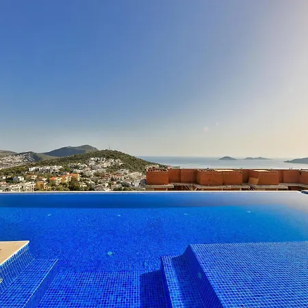 Pax - Kalkan